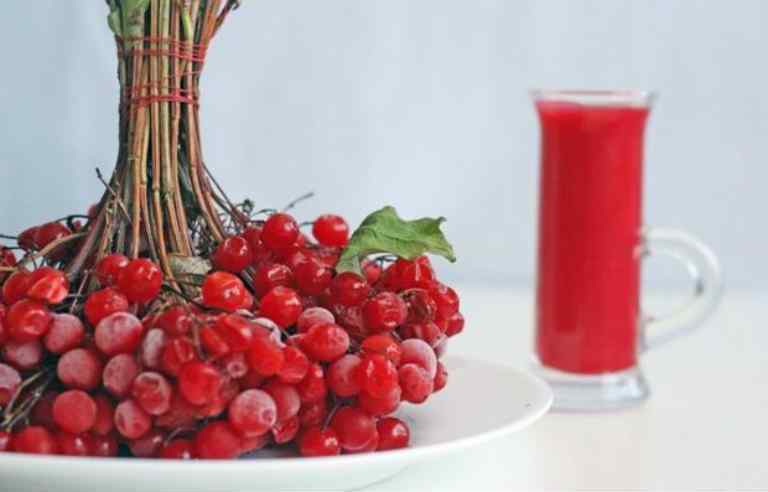 Компот из калины для детей