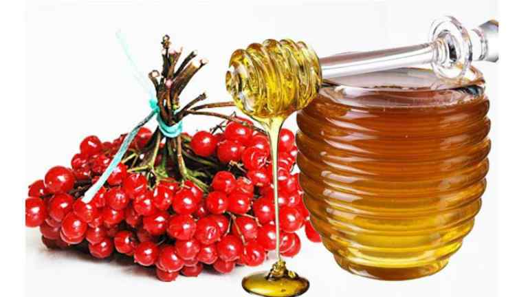 Компот из калины для детей