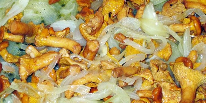 Жареные лисички с луком