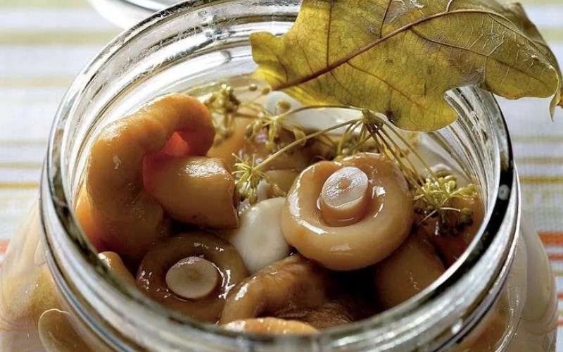Маринованные грибы быстрого приготовления