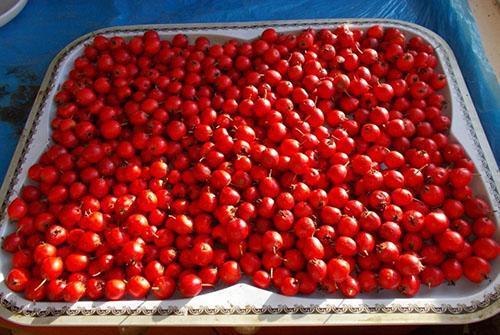 Варенье из боярышника и компот