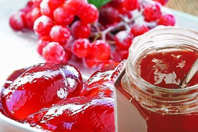 Калина кисель